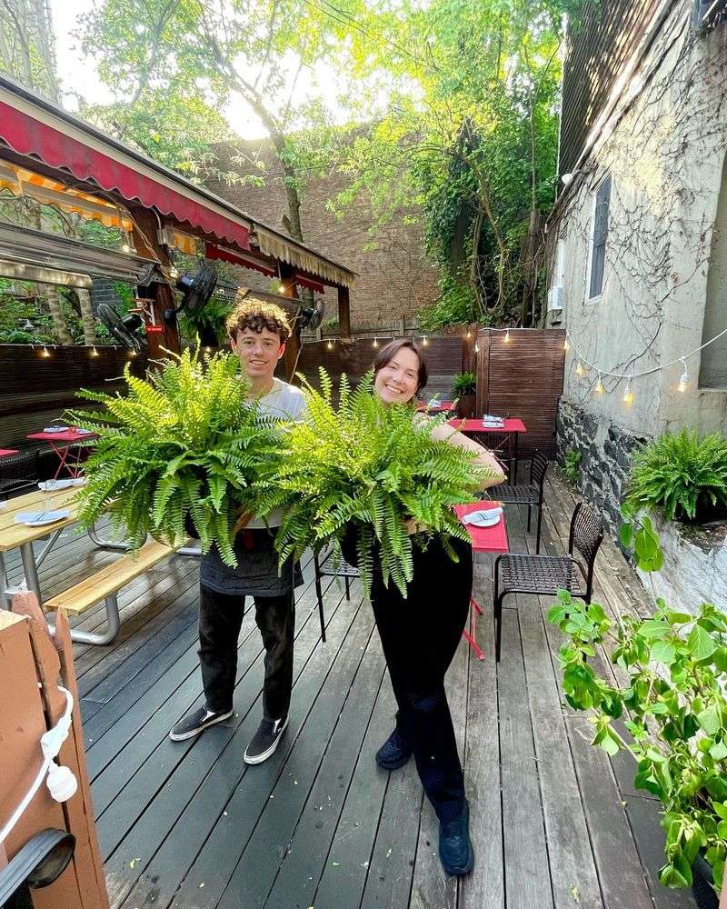 Community Gathering Spaces For Plant Enthusiasts