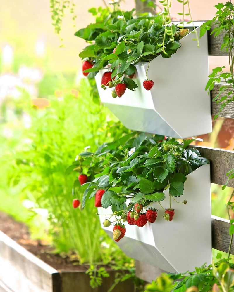 Year-Round Gardening Becomes Possible In Delaware's Climate