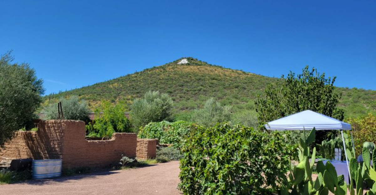 Instagrammable Plant Spots In Arizona You Probably Never Knew About