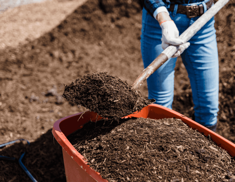 Add Compost To Improve Soil Quality
