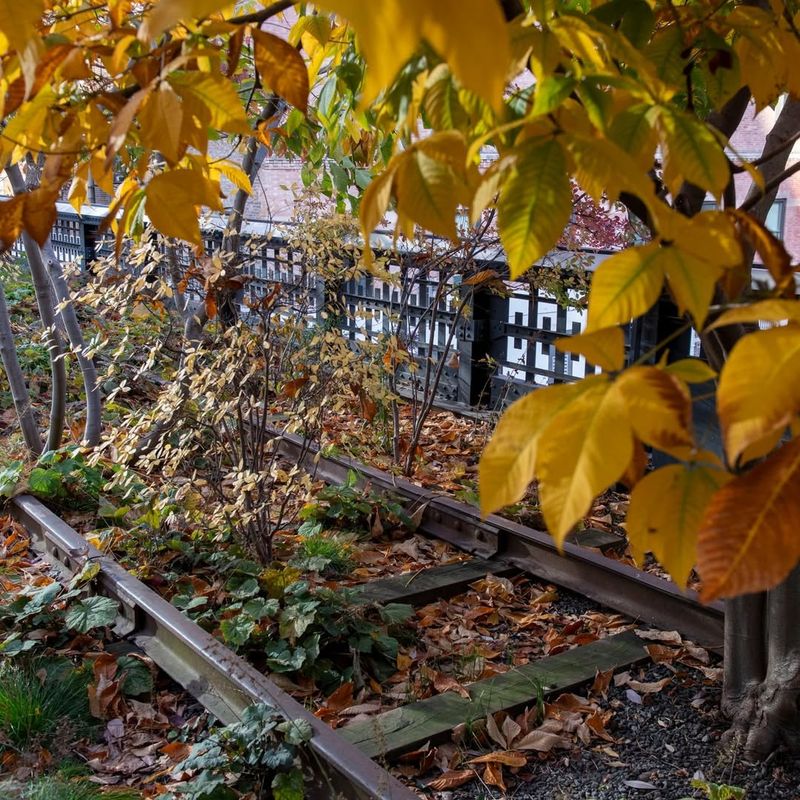Leave Leaf Litter In Garden Beds