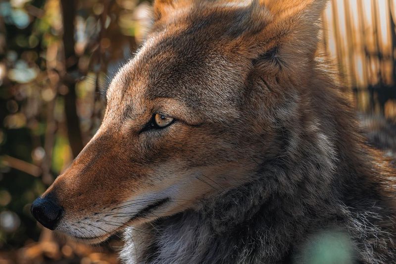 Educate Family Members And Neighbors