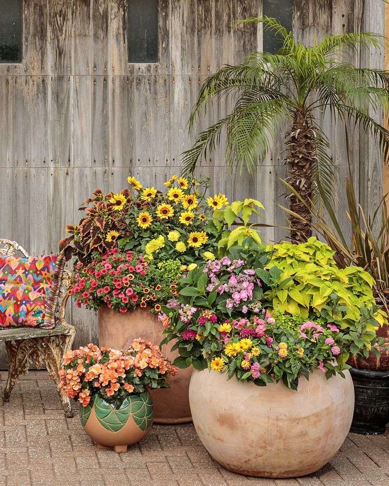 Arrange Container Gardens in Clusters
