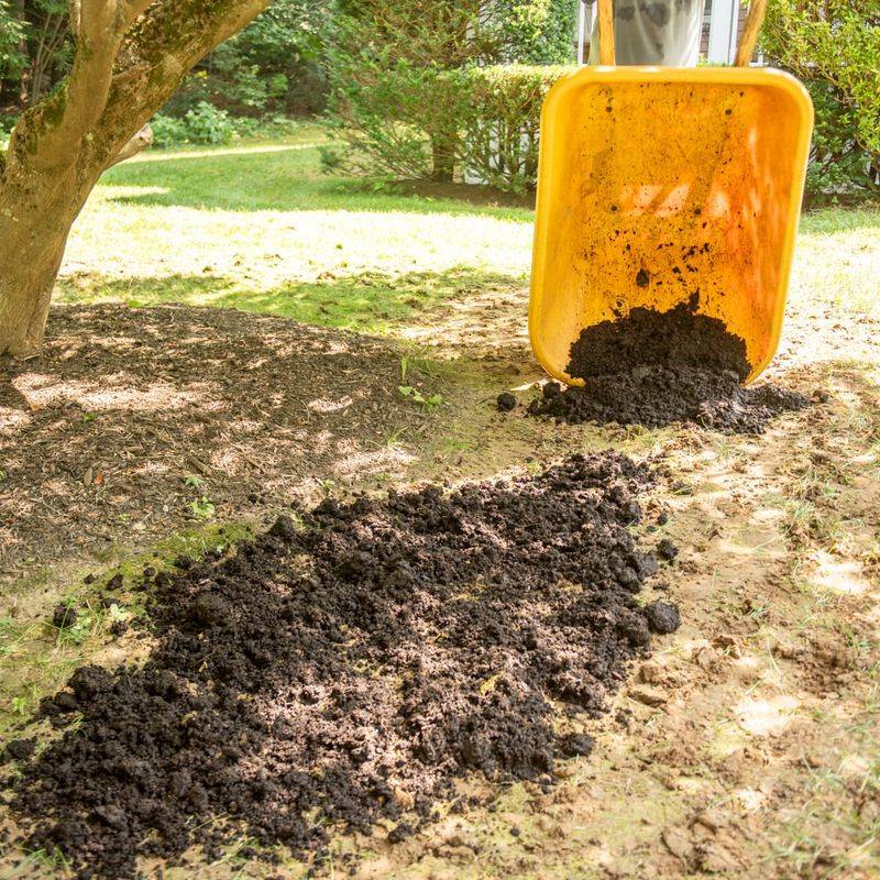 Monitor And Adjust Throughout The Season