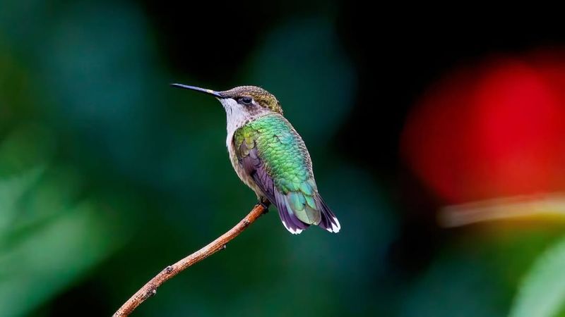 Reduce Outdoor Lighting At Night