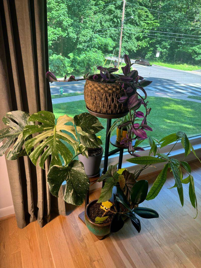 Create Multiple Levels For Different Plant Heights