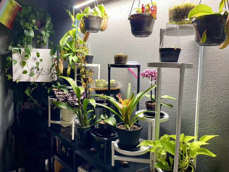 Create A Watering Schedule That Matches Light Exposure