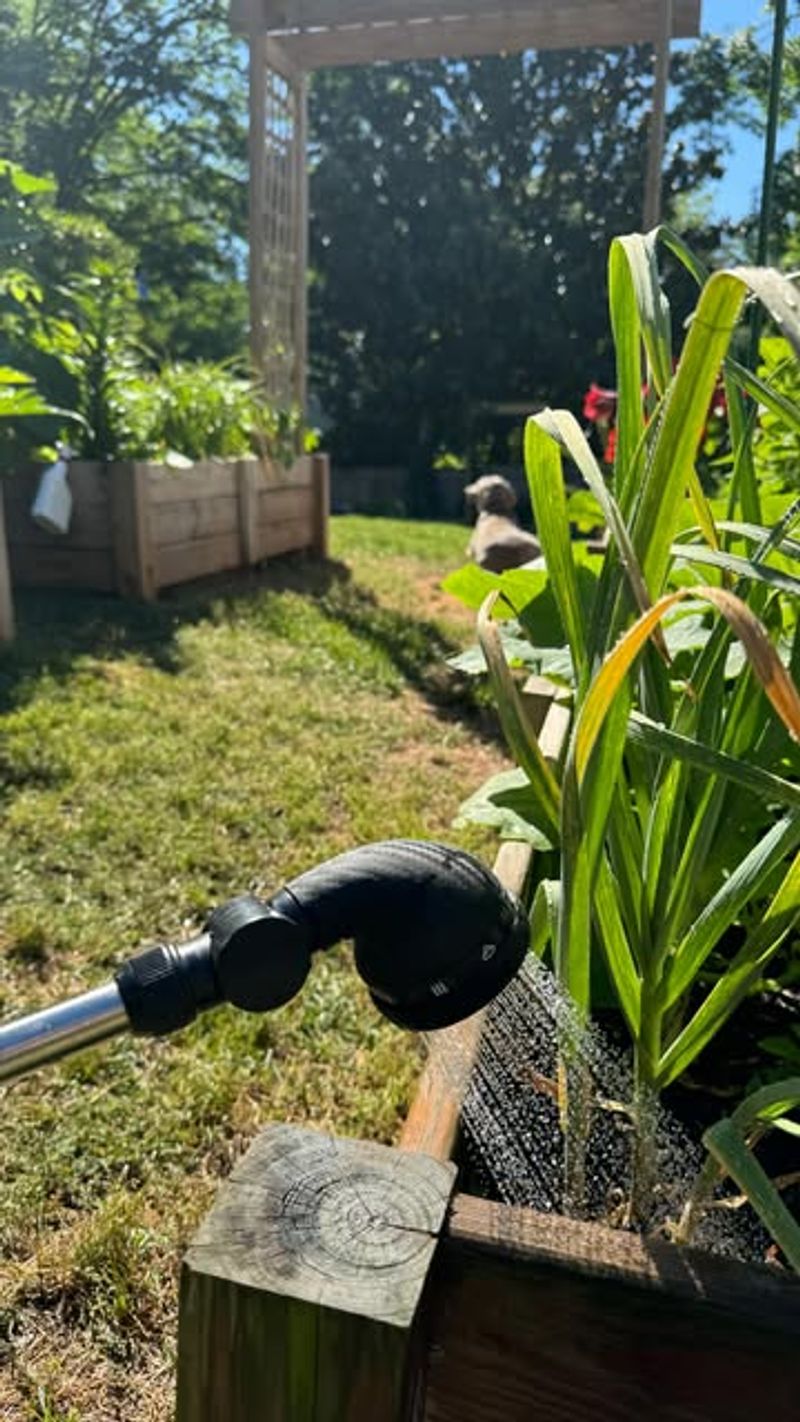 Provide Consistent Moisture Without Overwatering Plants