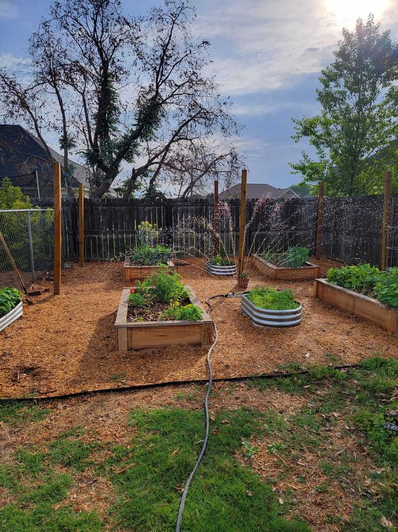 Creating Raised Garden Beds With Solid Sides
