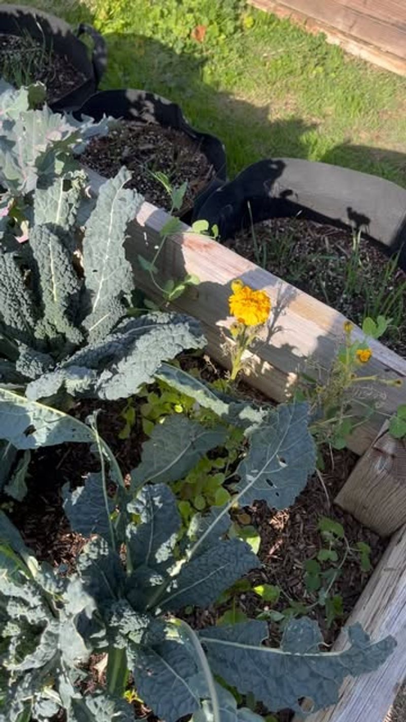 Reconfiguring Garden Zones by Plant Type