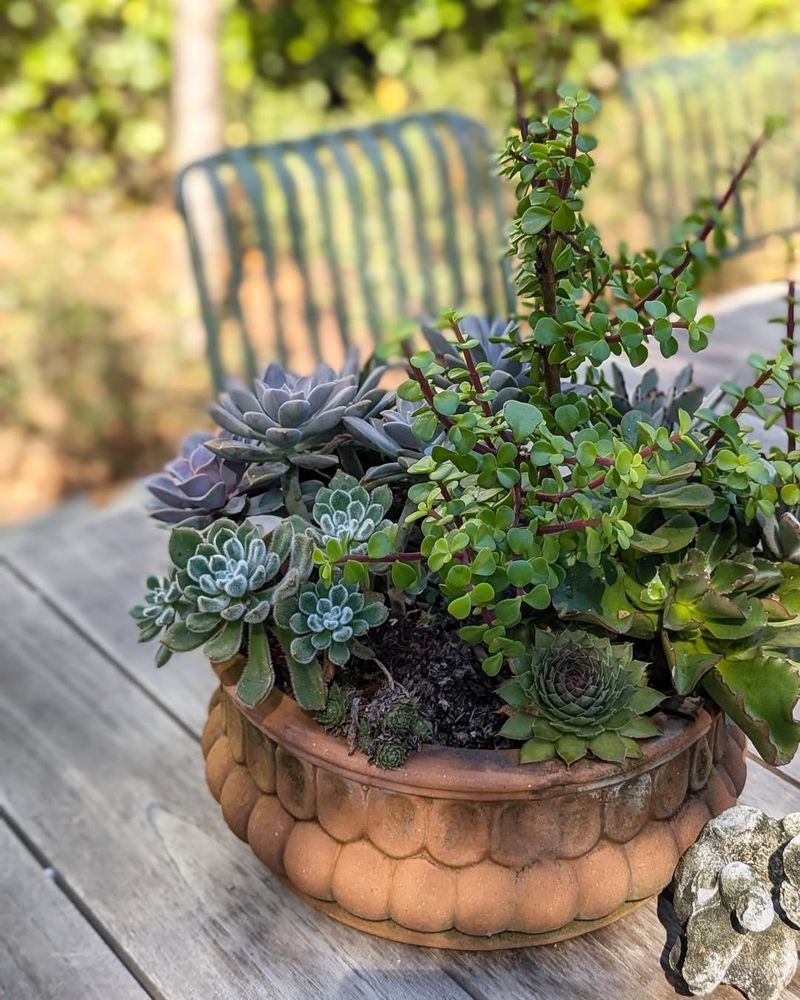 Flexibility To Change With Seasons