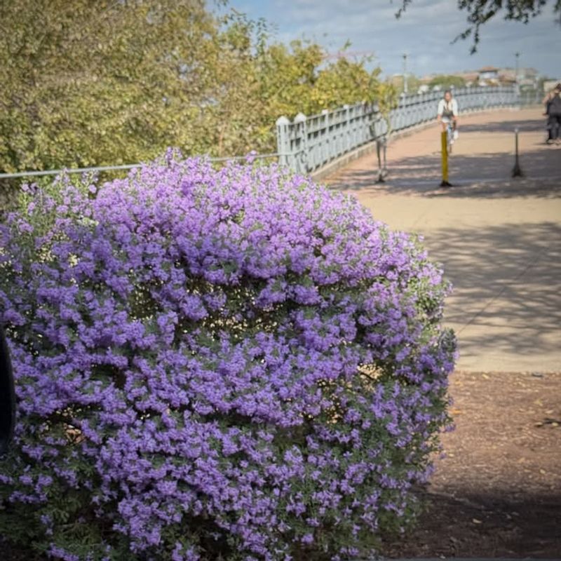 Long-Term Investment That Improves With Age