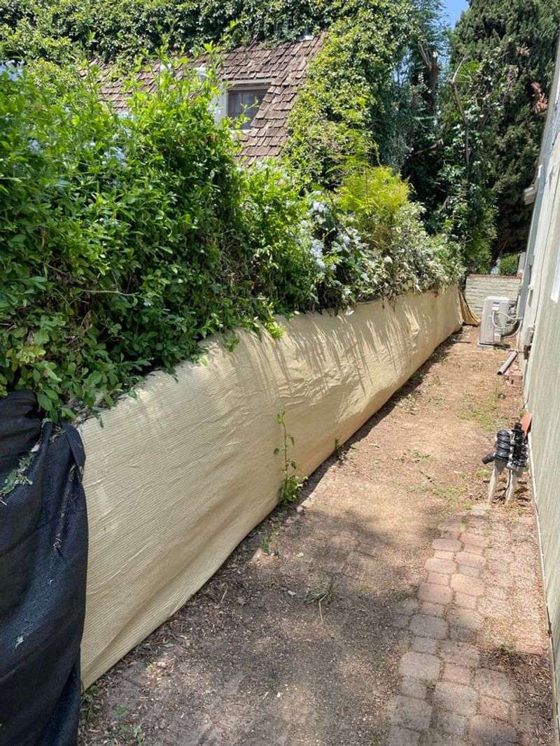 Communication Prevents Neighborhood Conflicts