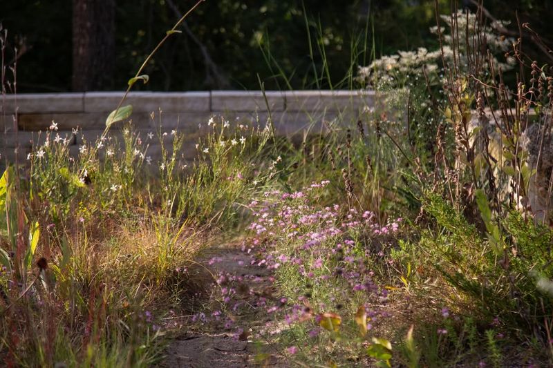 Local Ordinances Carry Real Penalties