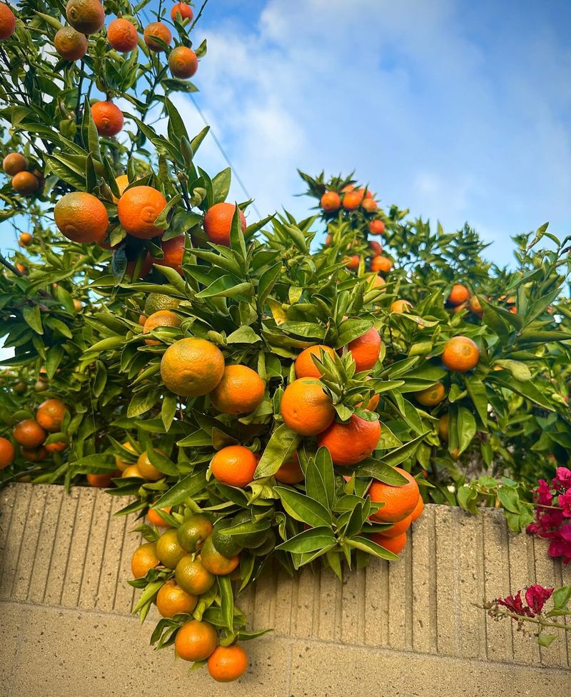 Documentation Becomes Critical If Disputes Escalate