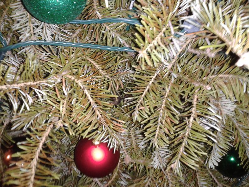 Temperature Fluctuations Between Day And Night