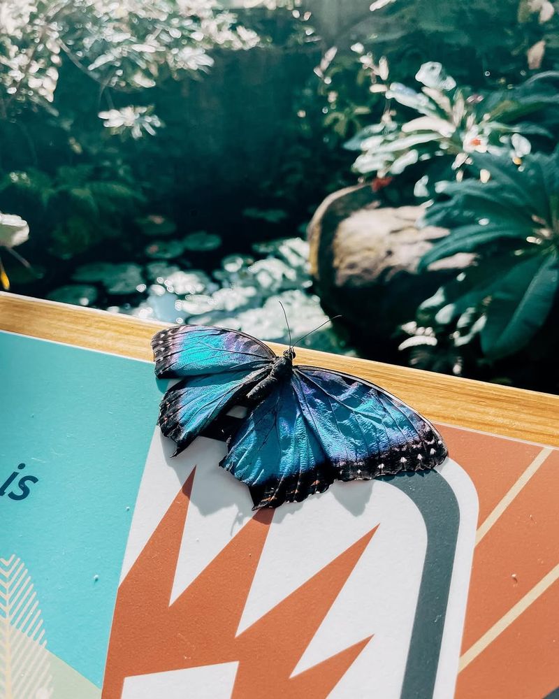 Climate-Controlled Tropical Environment