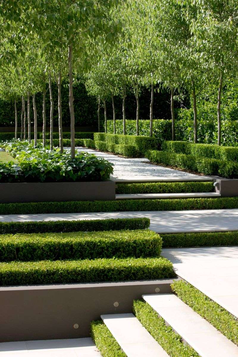 Replace Bare Lawn Areas With Groundcover