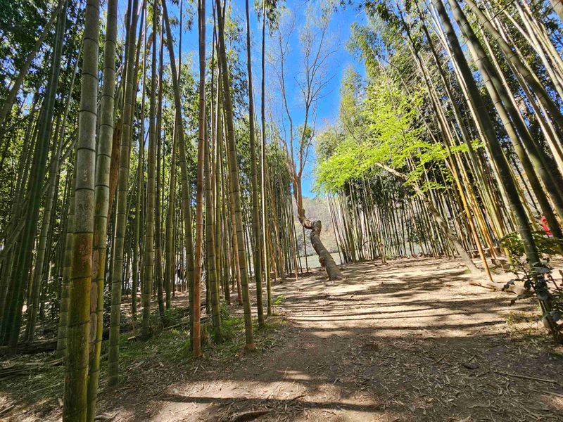 Chattahoochee River National Recreation Area Near Roswell