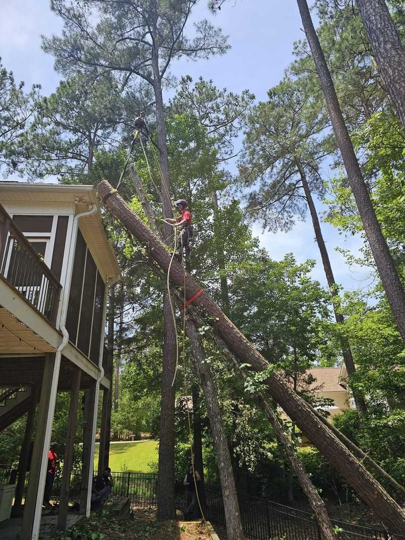 Trees Violating Local Codes