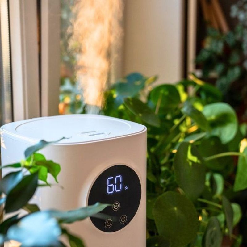 Maintain Proper Humidity Levels