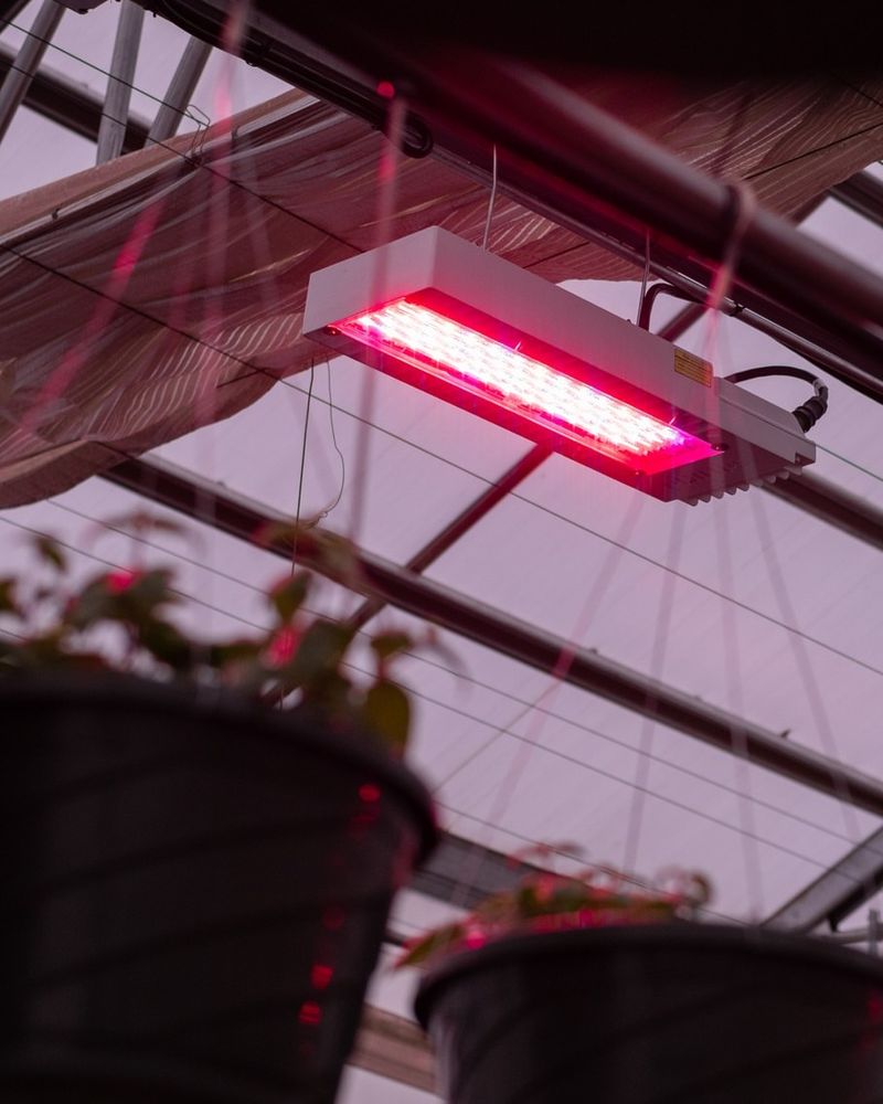 Lighting Schedules Extended With Supplemental Systems