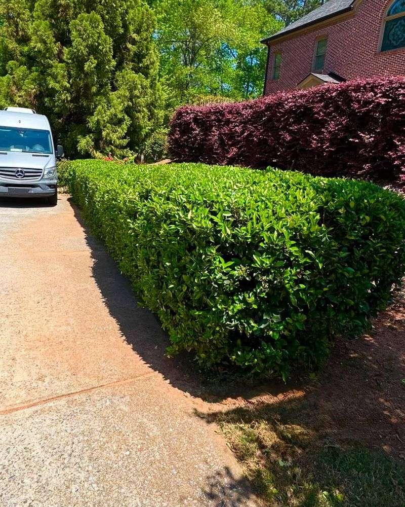 You Can Trim Branches On Your Property Line