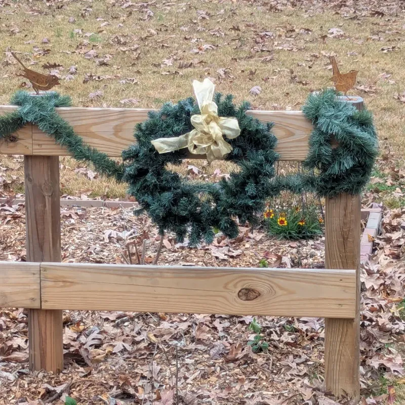 It Softens Hard Fence Lines