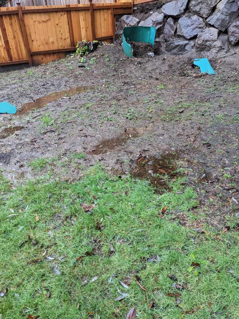 Moisture And Humidity Trigger Its Appearance