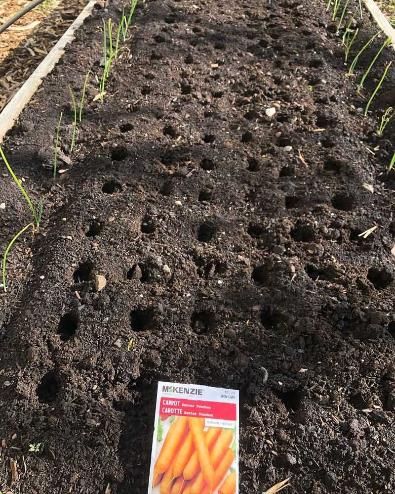 Planning Builds Excitement For The Growing Season