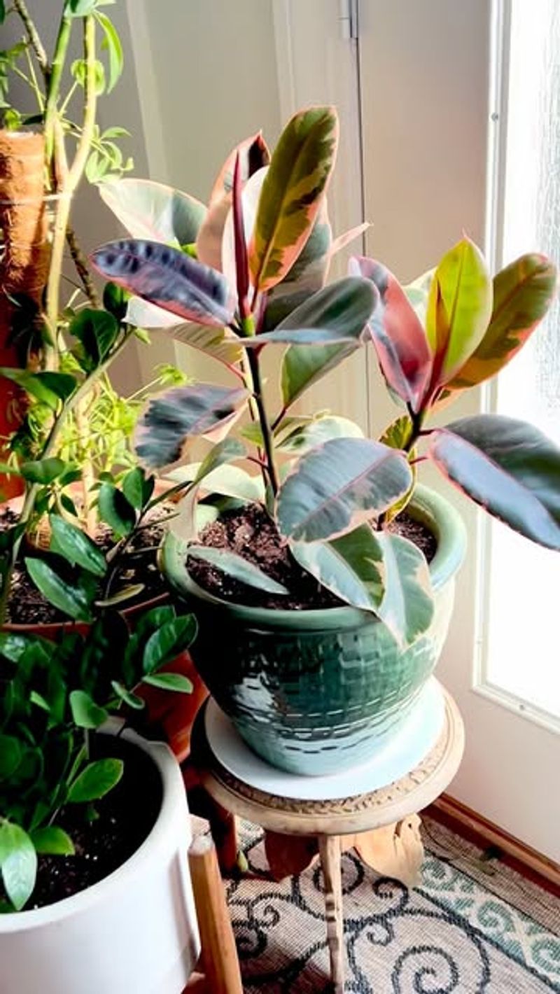 Rotation Pairs Well With Winter Watering Checks