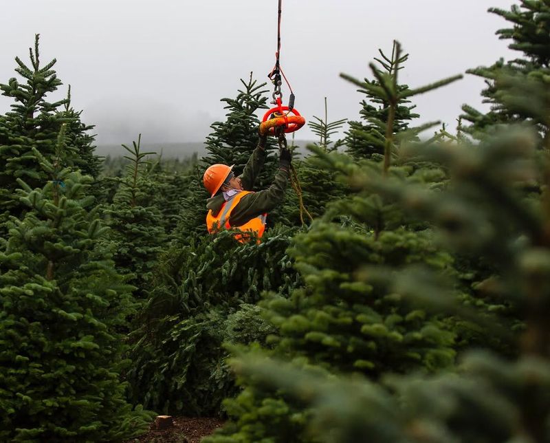 Sustainable Farming Practices Protect The Environment