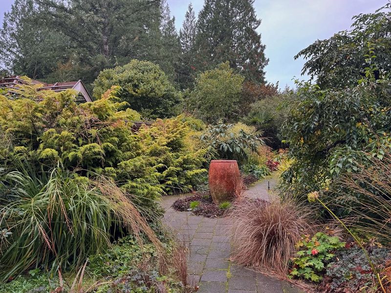 Washington's Climate Supports Moss And Evergreen Plantings