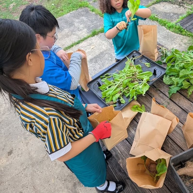 Buildings Become Educational Resources