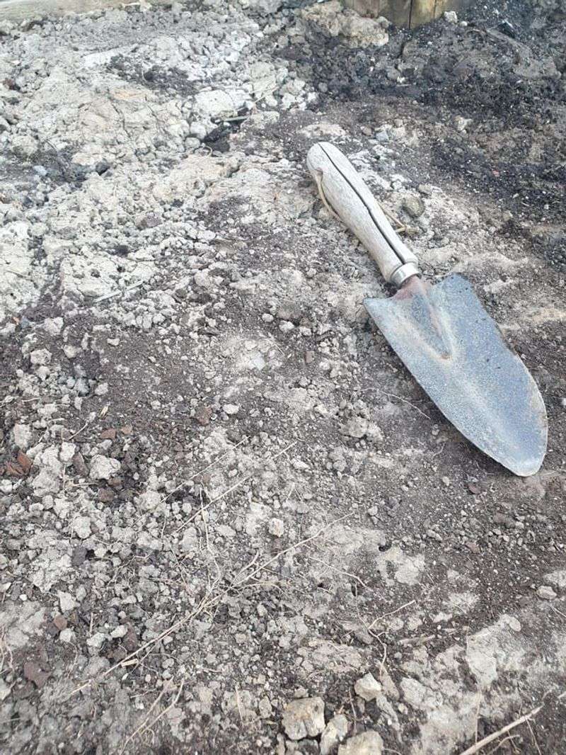 Reducing Soil Compaction From Dry Indoor Air And Heavy Watering