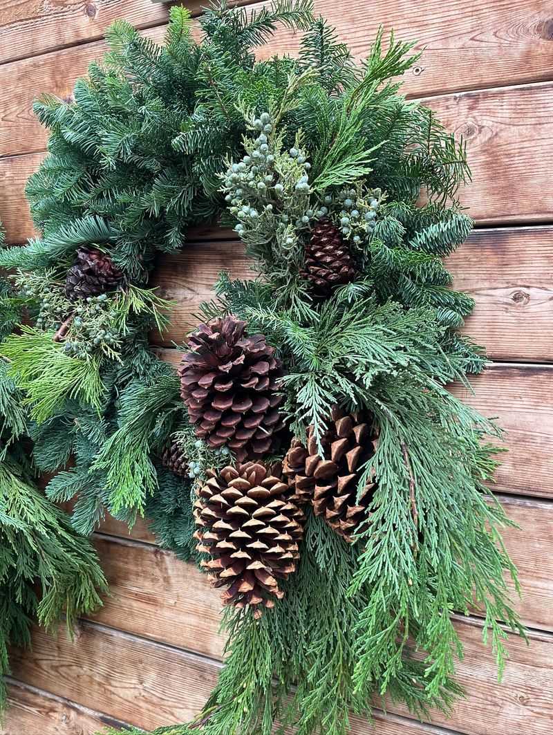 Pinecones And Evergreen Pairings