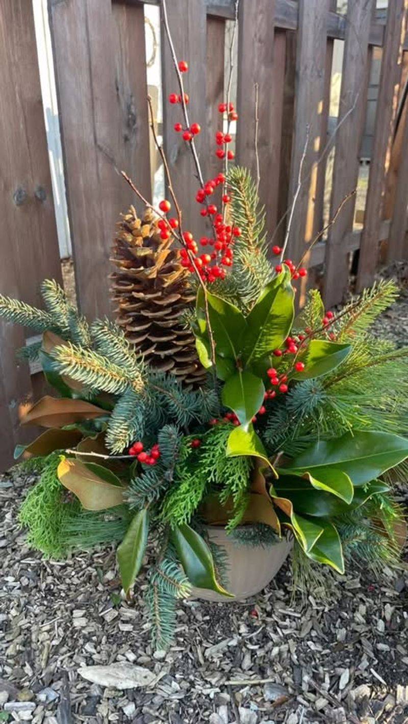 Pinecones Gathered From The Yard