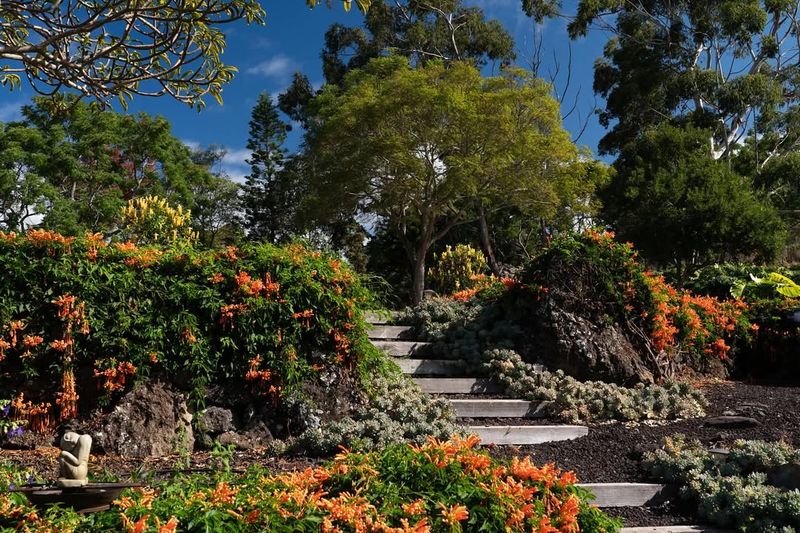 Kula Botanical Garden