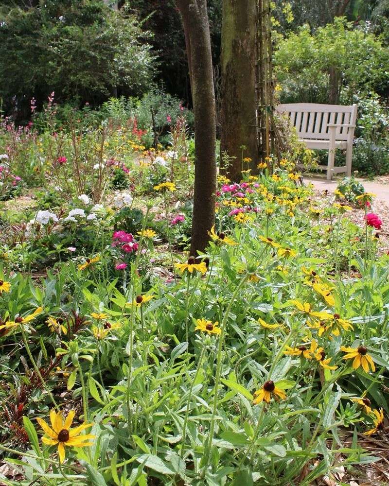 Let Your Lawn Grow Wild In Sections