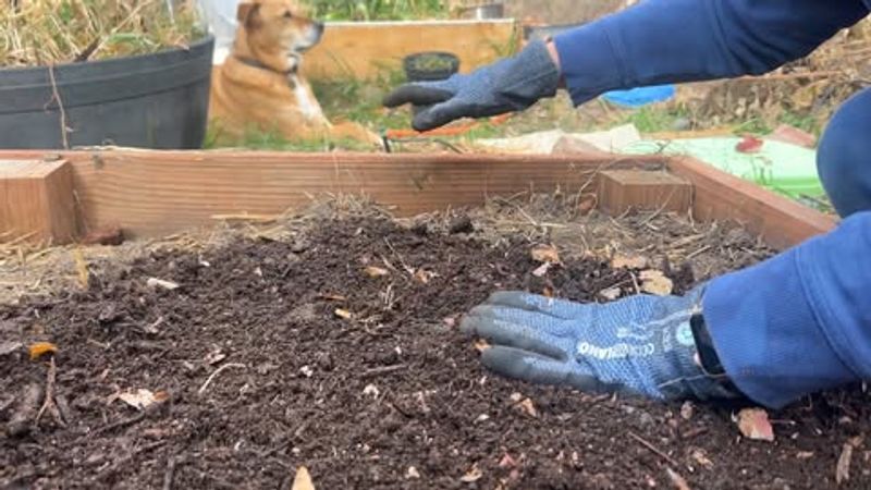 Prepare Your Garden Beds Before Adding Winter Mulch