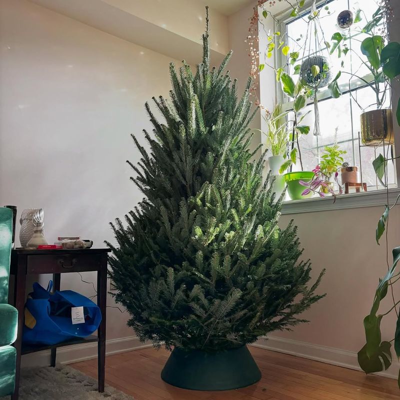 Position Away From Heat Sources