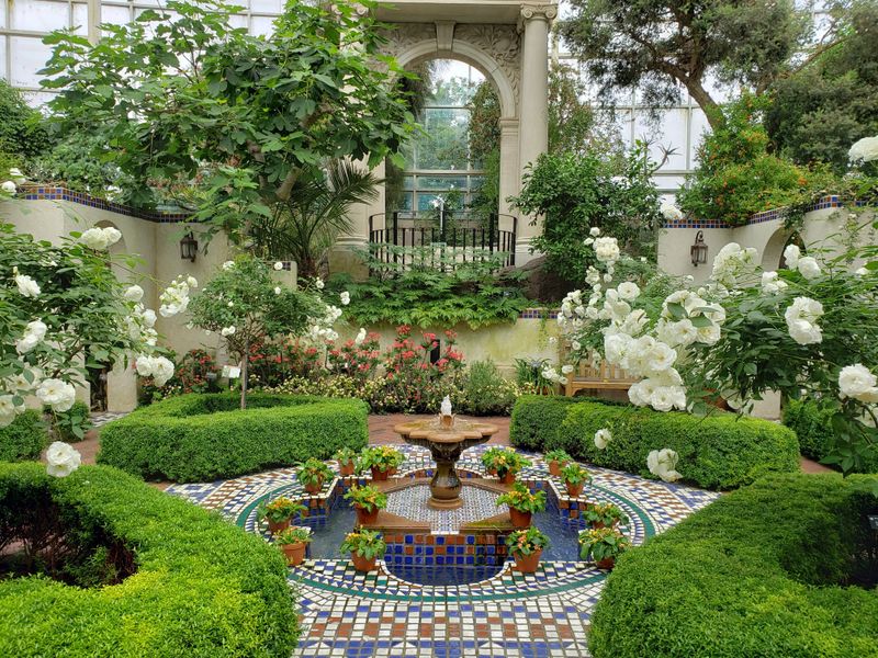 Linnean House's Historic Plant Collection