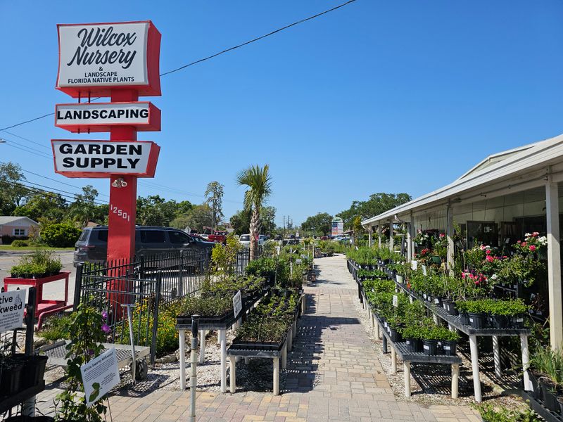Wilcox Nursery & Landscape