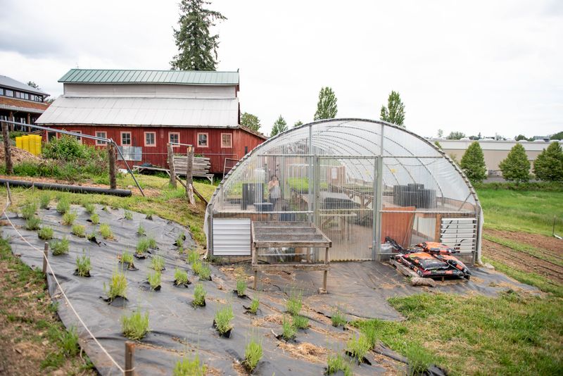 Zenger Farm Community Garden