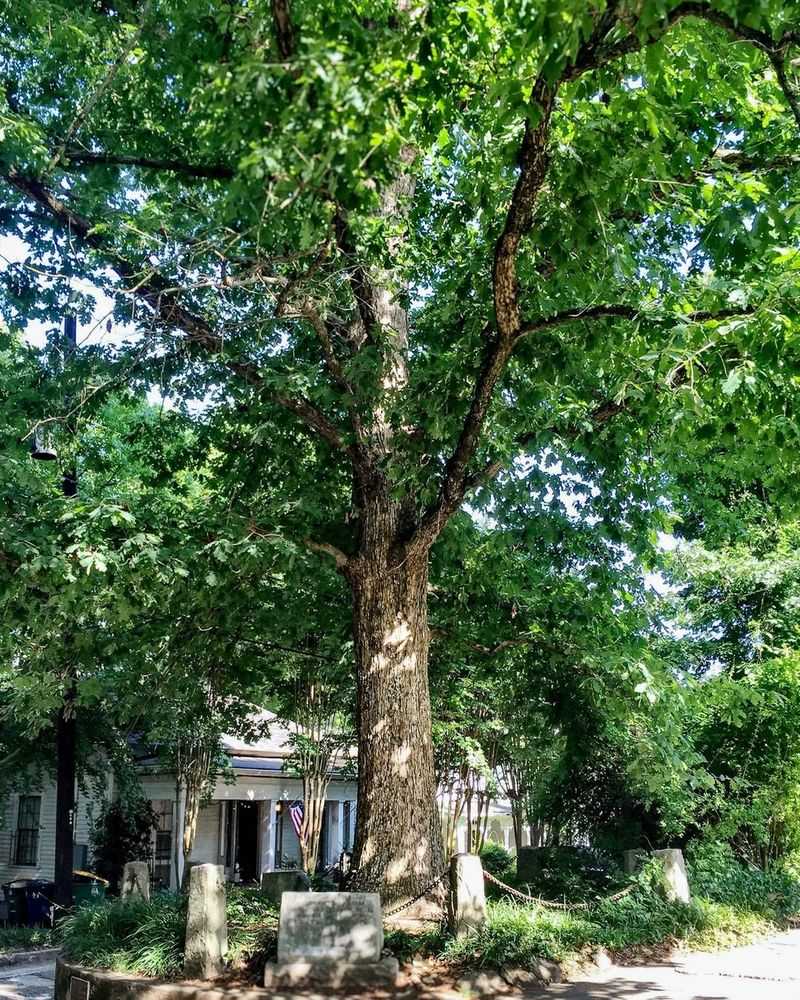 Watch Out For Protected Species