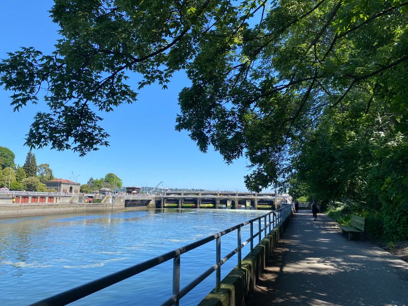 Ballard Locks Grounds