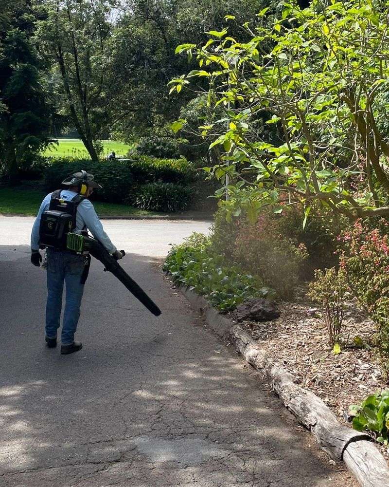Gas-Powered Leaf Blowers