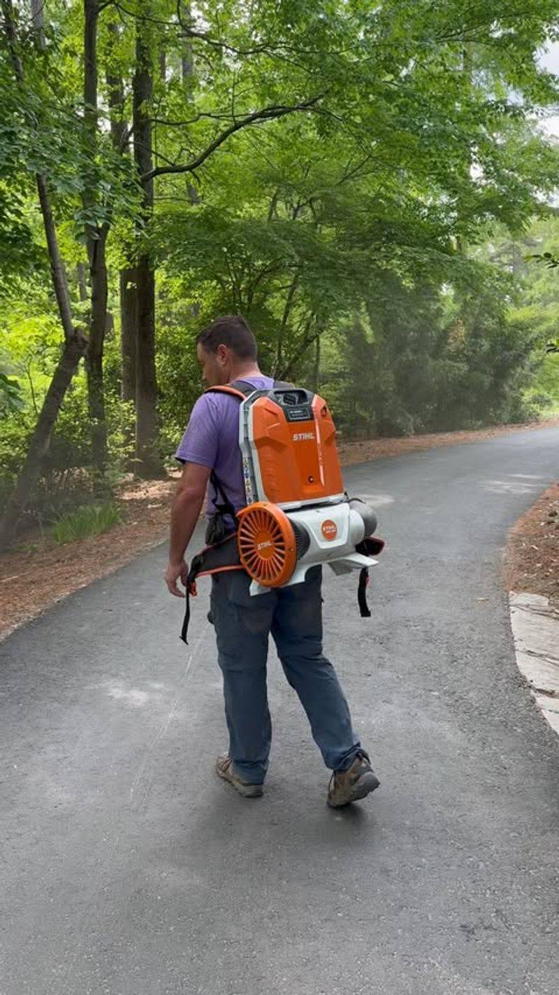 Gas-Powered Leaf Blowers