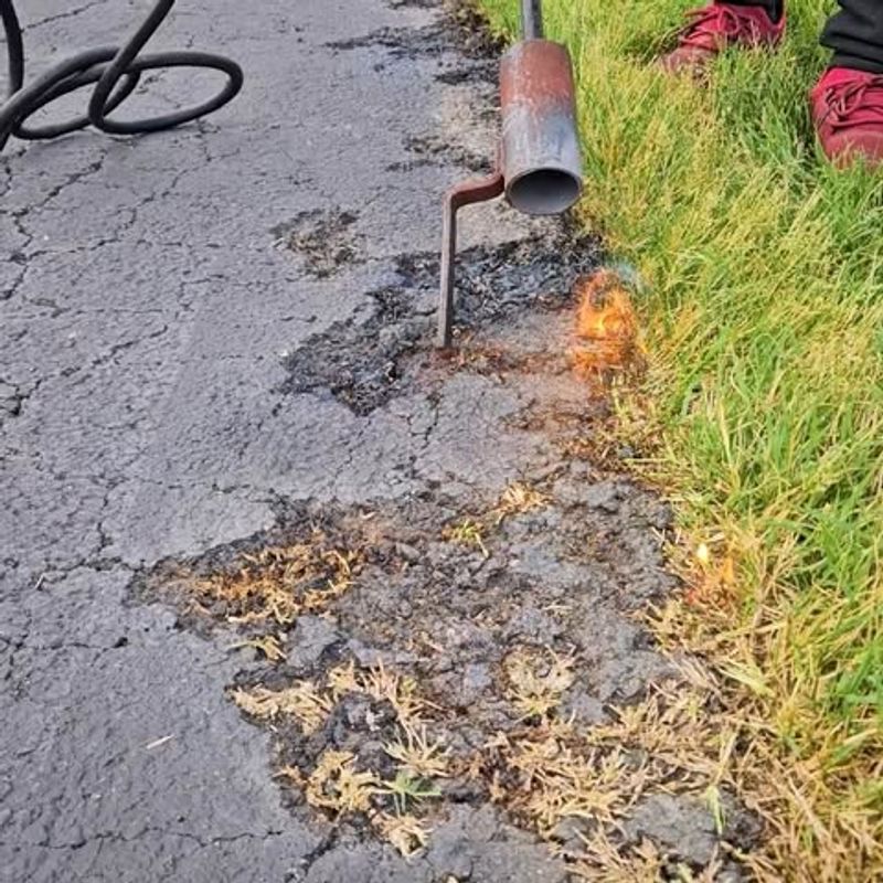 Sidewalk Or Driveway Conditions Considered Trip Hazards