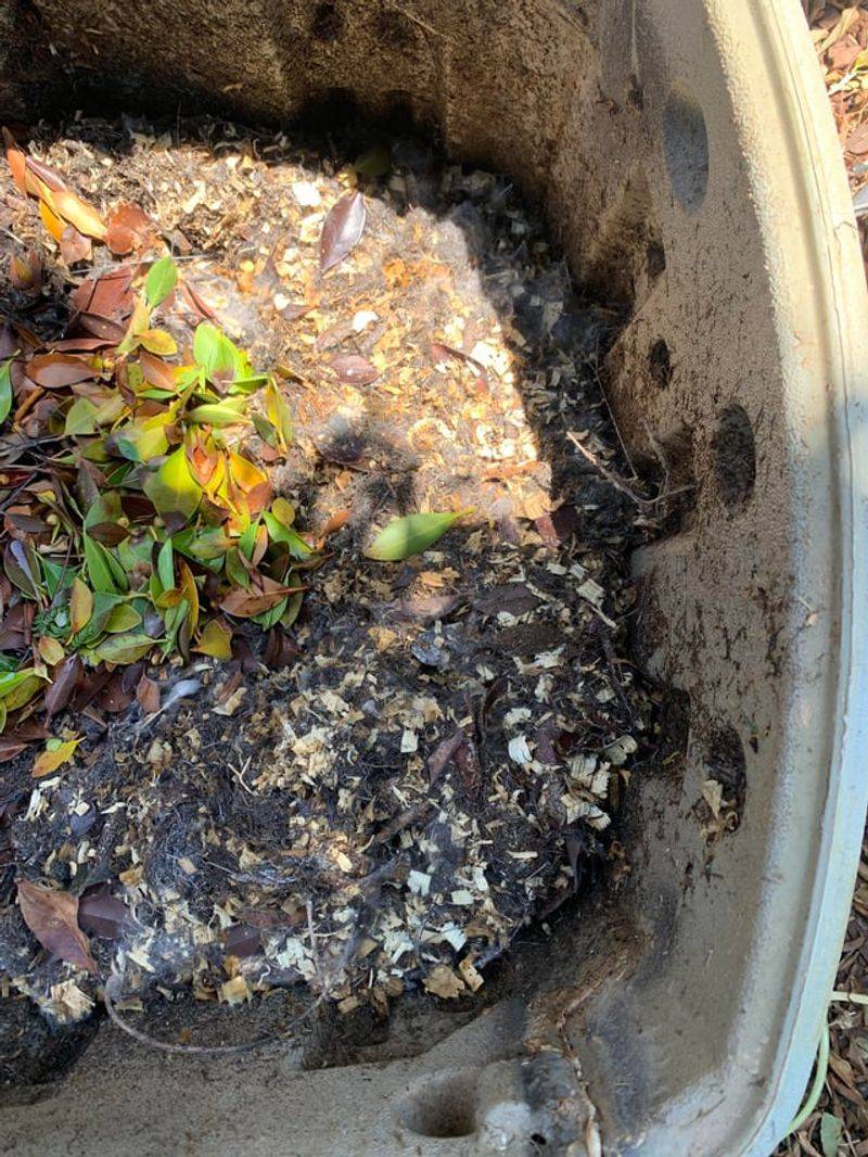 Insufficient Organic Matter Limits Nitrogen Storage